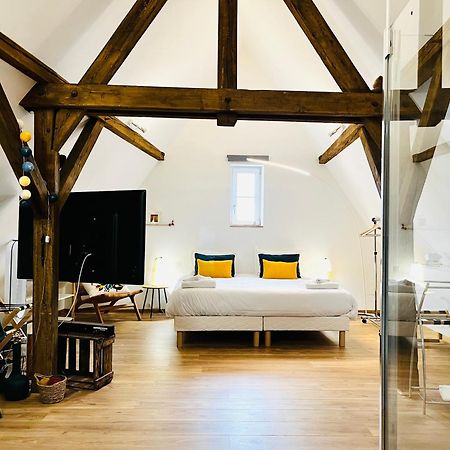 Le Loft Διαμέρισμα Κολμάρ Εξωτερικό φωτογραφία