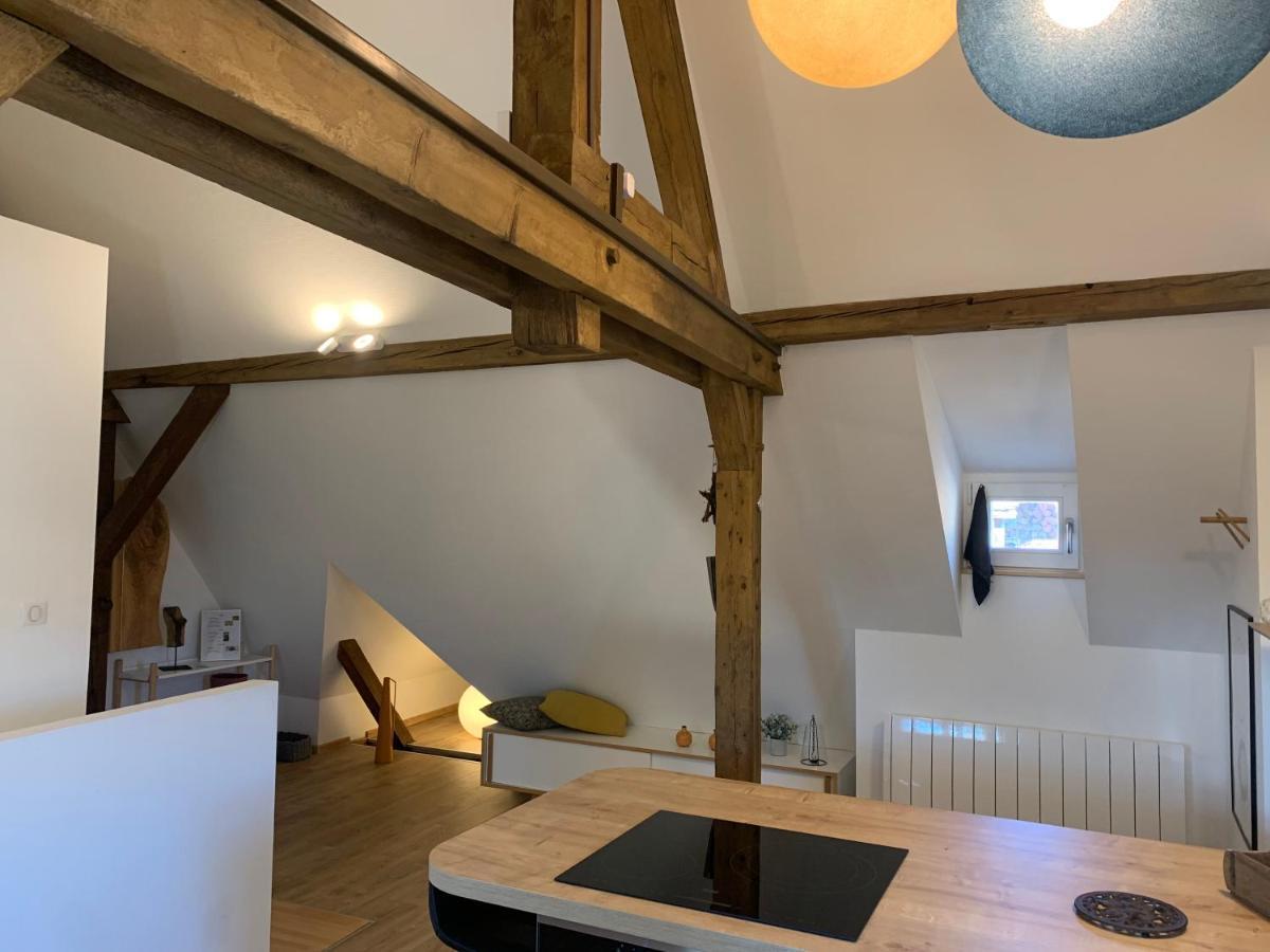 Le Loft Διαμέρισμα Κολμάρ Εξωτερικό φωτογραφία