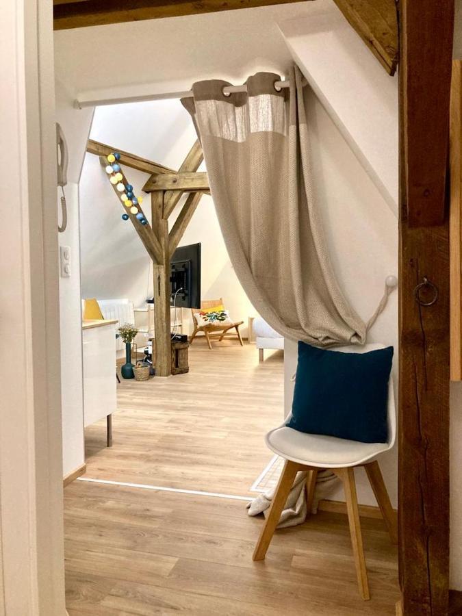 Le Loft Διαμέρισμα Κολμάρ Εξωτερικό φωτογραφία