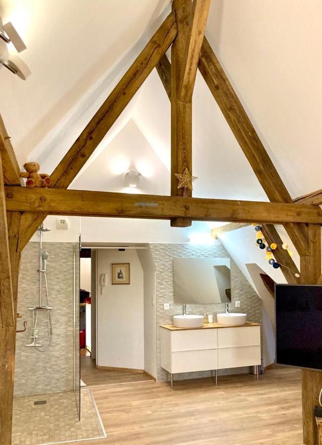 Le Loft Διαμέρισμα Κολμάρ Εξωτερικό φωτογραφία