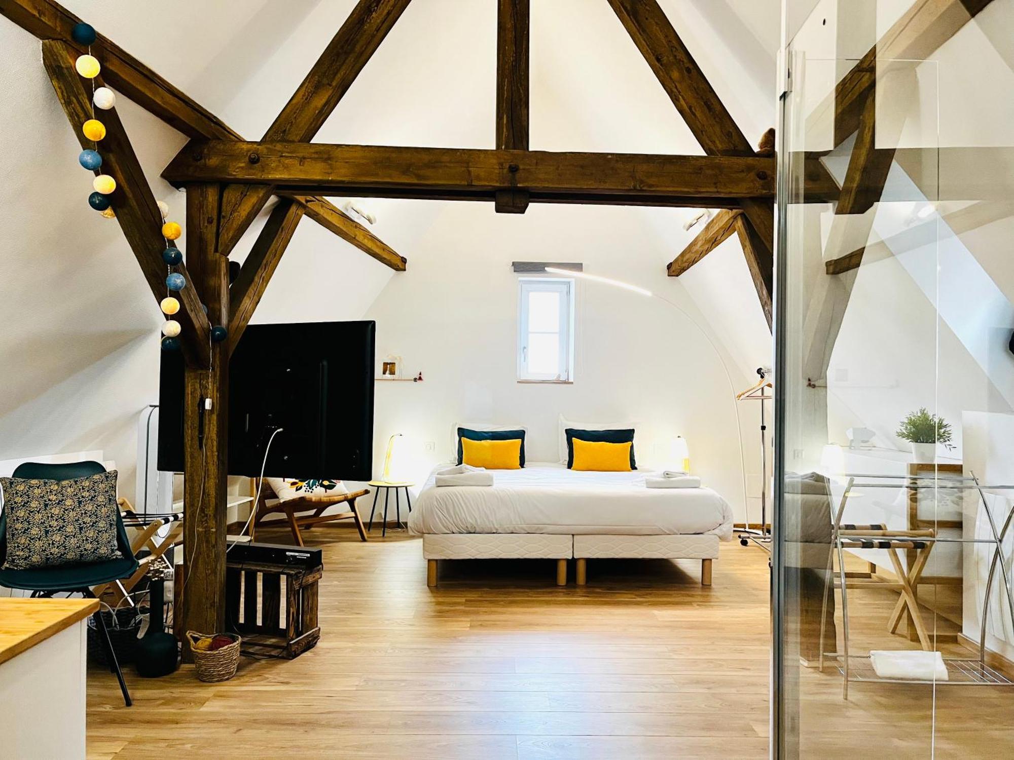 Le Loft Διαμέρισμα Κολμάρ Εξωτερικό φωτογραφία
