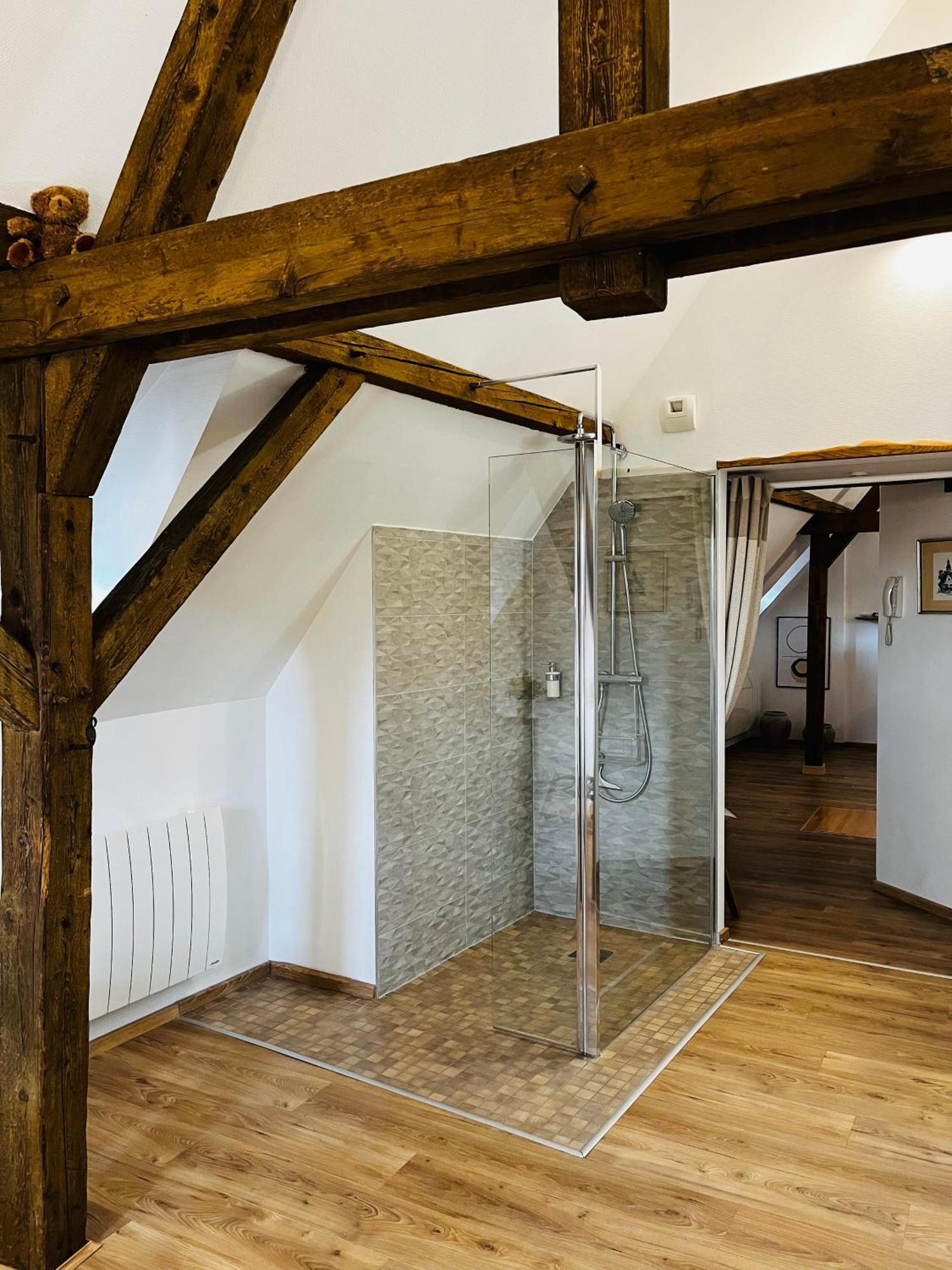 Le Loft Διαμέρισμα Κολμάρ Εξωτερικό φωτογραφία